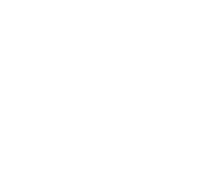light logo